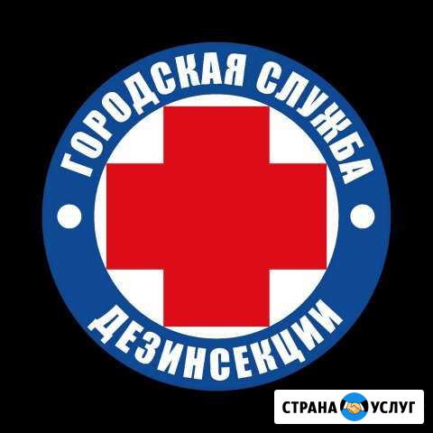 Уничтожение клопов, тараканов, грызунов, блох, кле Астрахань - изображение 1