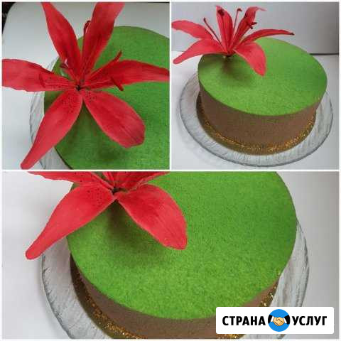 Торты на заказ и съедобная печать Краснодар - изображение 1