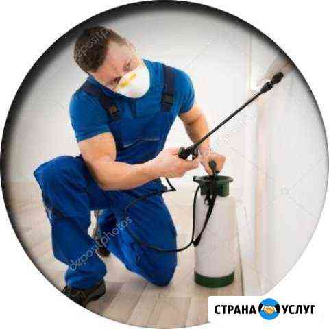 Проф обработка от тараканов,клопов Самара