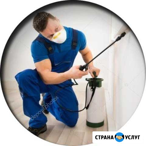 Проф обработка от тараканов,клопов Самара - изображение 1