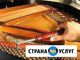 Настройка пианино Ростов-на-Дону