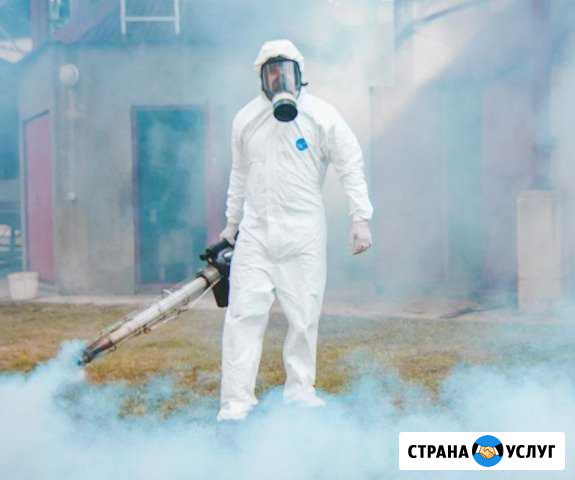 Дезинфекция насекомых, грызунов, плесени, запаха Мелеуз - изображение 1