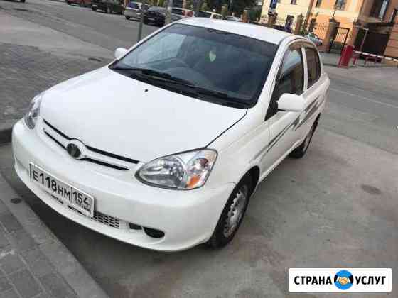 Авто в аренду Toyota Platz 1лит 2002г Белого цвета Новосибирск