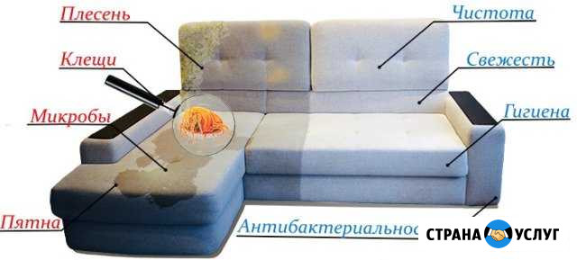 Химчистка мягкой мебели Нижний Тагил - изображение 1