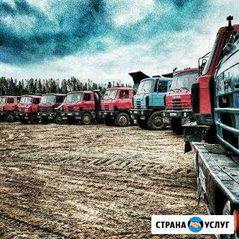 Tatra-815.Татра-815,аренда- самосвал (вездеход) Санкт-Петербург