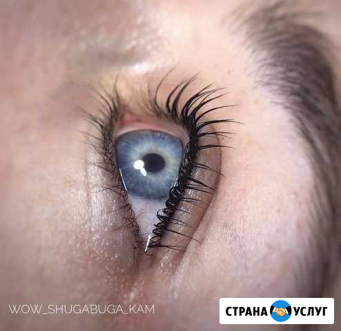 Ламинирование ресниц Петропавловск-Камчатский - изображение 1