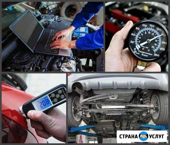 Выездной осмотр Чебоксары - изображение 1