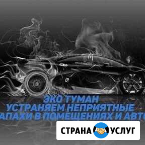 Эко туман Воронеж - изображение 1