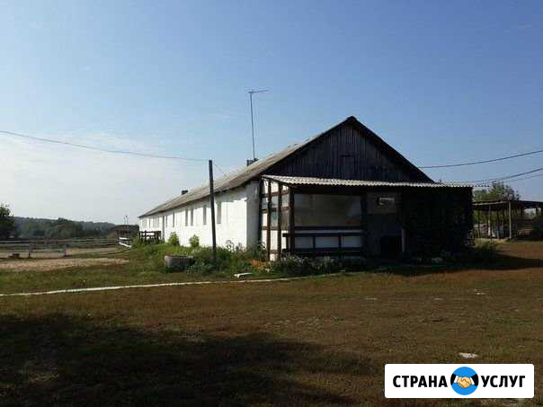 Уютная конюшня приглашает на постой Климовск - изображение 1