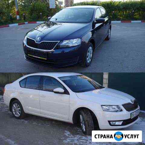Автомобили в аренду skoda rapid, skoda oktavia Санкт-Петербург