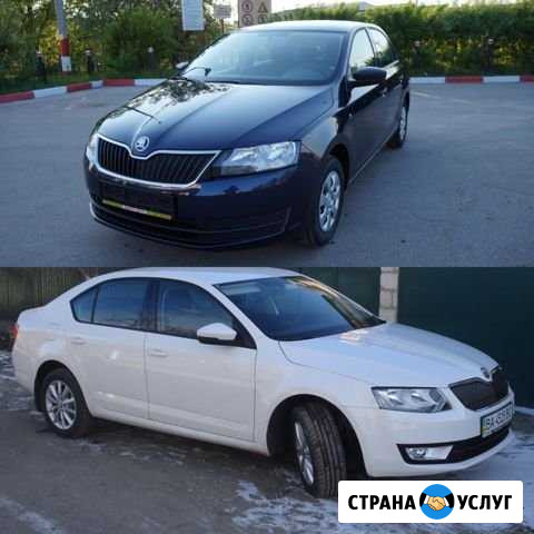 Автомобили в аренду skoda rapid, skoda oktavia Санкт-Петербург - изображение 1