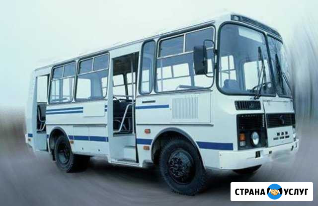 Пассажирские перевозки на автобусах паз Старое Шайгово - изображение 1