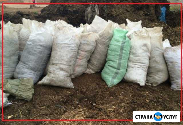 Грузовое Такси. Вывоз Мусора. Услуги Грузчиков Химки - изображение 1