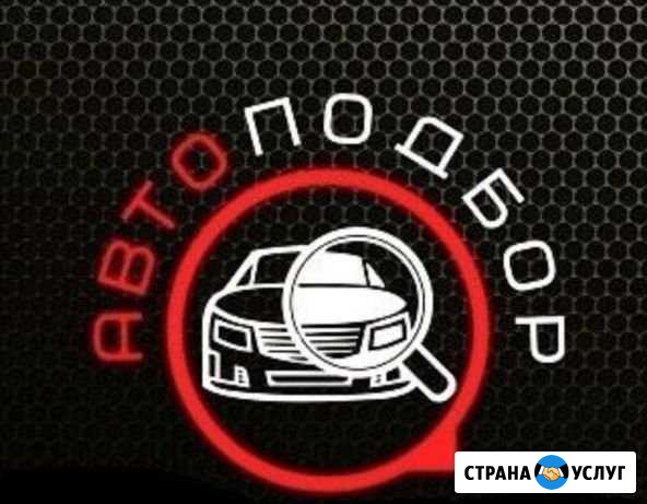 Подбор авто. Помощь при покупке авто Усть-Катав - изображение 1