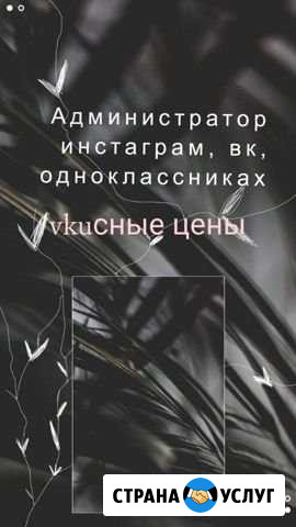 Администрирование в инстаграм Иваново - изображение 1