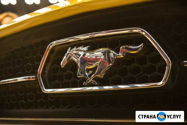 Чип-тюнинг, диагностика, активация опций а/м Ford Орёл - изображение 1