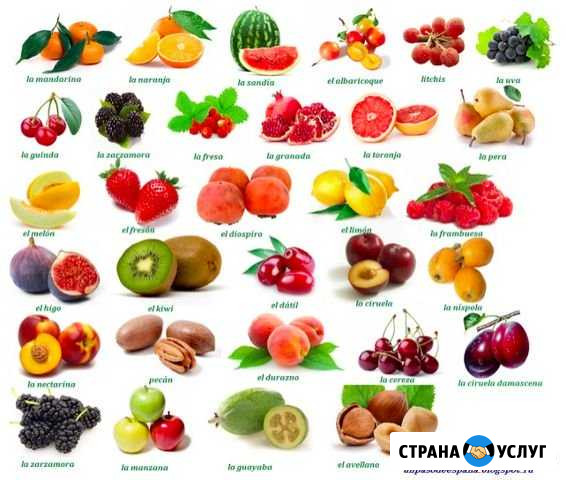 Репетитор по испанскому языку для новичков с 0 Омск - изображение 1
