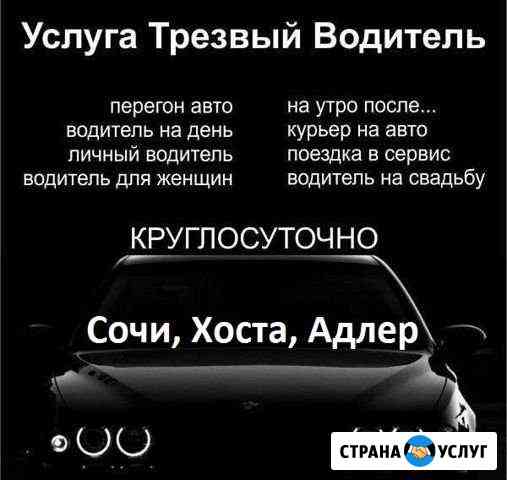 Трезвый водитель, Водитель выходного дня Сочи