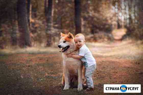 Фотосессия с собакой Набережные Челны