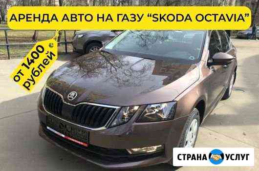 Аренда авто Skoda Octavia Санкт-Петербург
