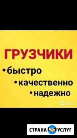 Услуги грузчиков Тимашевск