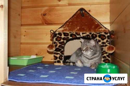 Гостиница для животных «Фауна» Нижний Тагил - изображение 1