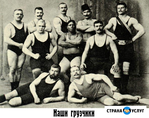 Вывоз мусора и утилизация, переезды Вологда - изображение 2