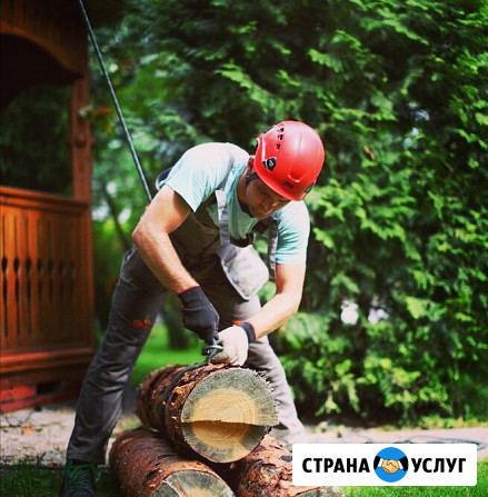 Спилить дерево Кубинка Обрезка деревьев Кубинка - изображение 1