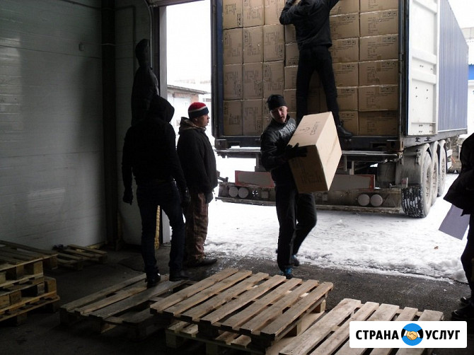 Разгрузка фур, вагонов, контейнеров. Перегрузка аварийных фур в Смоленске и области Смоленск - изображение 4