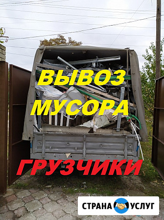 Вывоз мусора Ломоносов - изображение 1