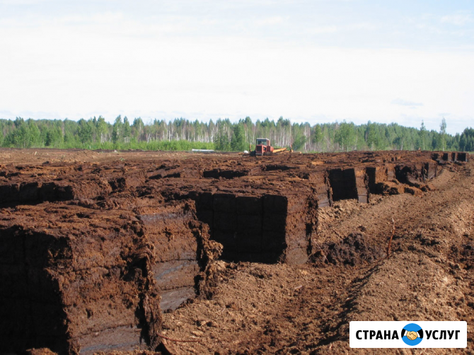 Земля плодородная, Грунт садовый, Торф Санкт-Петербург - изображение 3