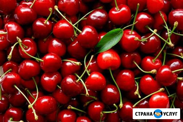 Черешня Набережные Челны - изображение 1