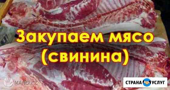 Продукты Мясо Ртищево