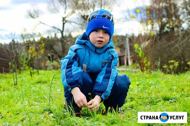 Фотограф в Шебекино Шебекино - изображение 1