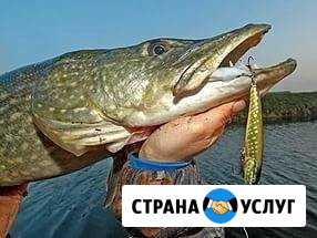 Рыбалка и охота в раскатах дельты Волги Марфино - изображение 1