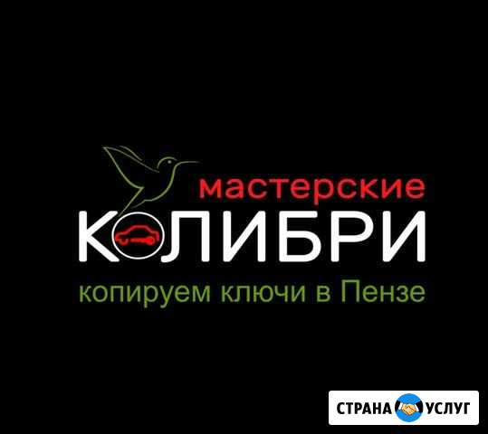 Ключи и чипы для авто, мото, грузовых Пенза - изображение 1