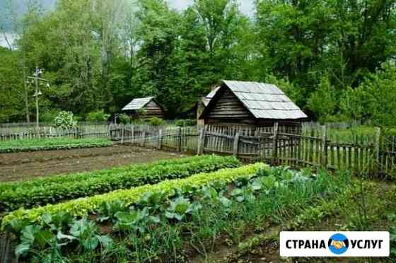 Работа в саду и огороде Стародуб