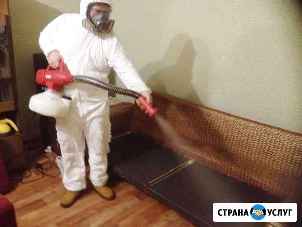 Дезинфекция, дезинсекция, дератизация Симферополь - изображение 1