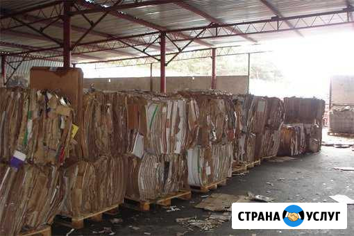 Вывозим макулатуру Новосибирск - изображение 1