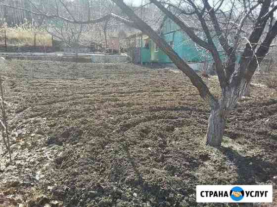 Спил деревьев, корчевание пней, Расчистка участка Саратов