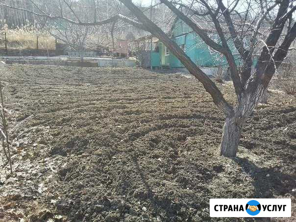 Спил деревьев, корчевание пней, Расчистка участка Саратов - изображение 1