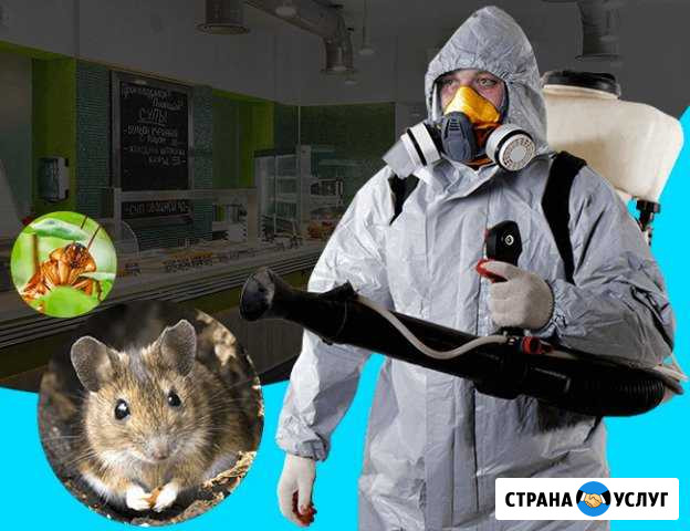 Уничтожение тараканов, блох, клопов, клещей. Kont Армавир - изображение 1