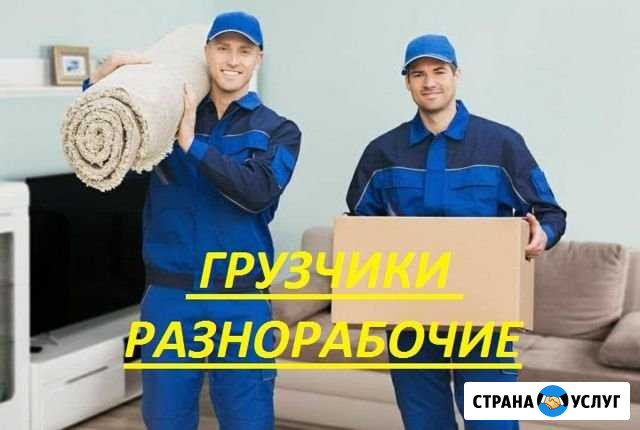 Грузчики абакан Абакан - изображение 1
