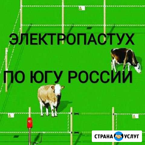 Электро-забор для Крс и баранов электропастух Астрахань - изображение 1