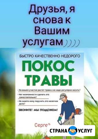 Покос травы спил деревьев приведу в порядок Бор - изображение 1