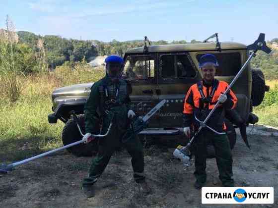 Очистка участка, Спил, Кронирование, Расчистка Сочи