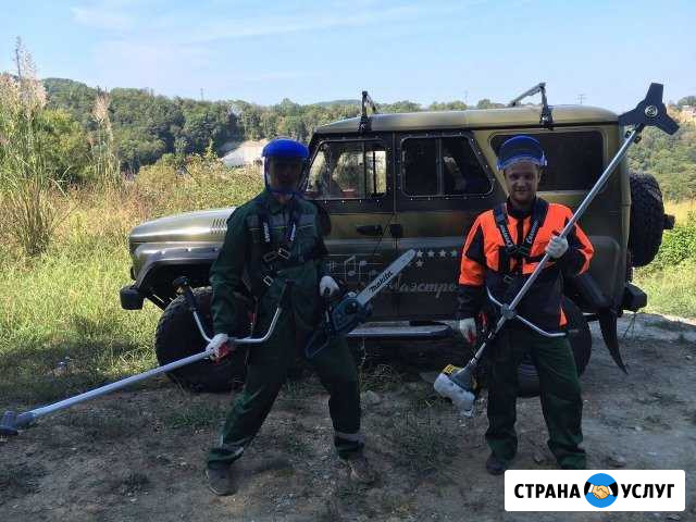 Очистка участка, Спил, Кронирование, Расчистка Сочи - изображение 1