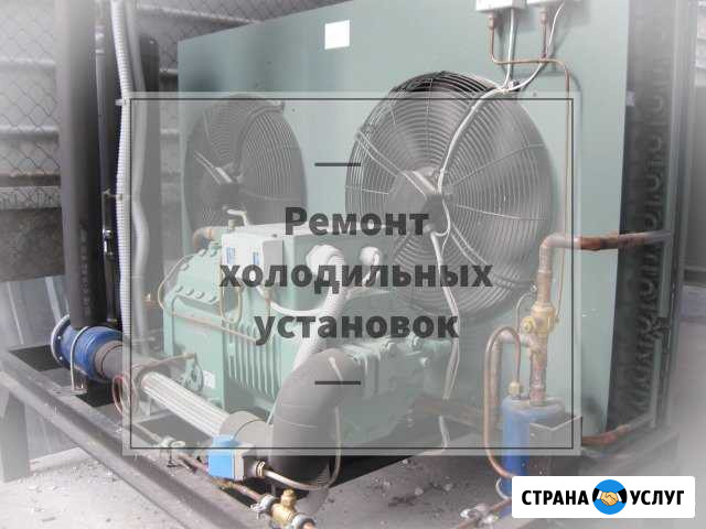 Ремонт холодильников и холодильного оборудования Санкт-Петербург - изображение 1