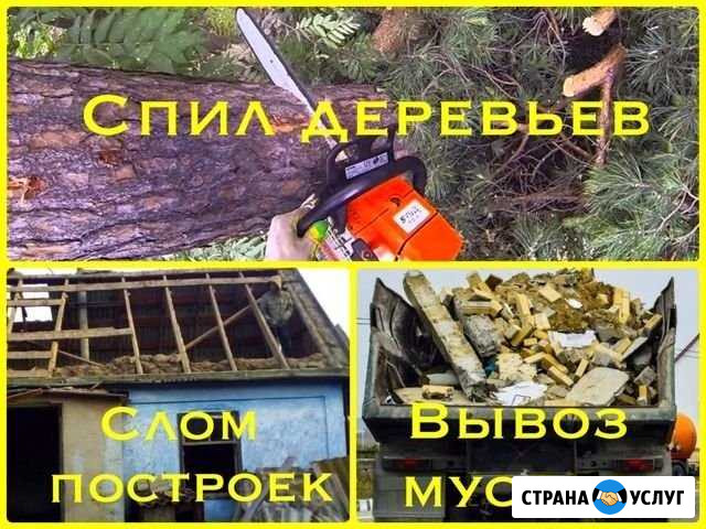 Спил деревьев, Разбор построек, Вывоз мусора Северодвинск - изображение 1