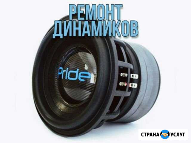 Ремонт динамиков, сабвуферов Томск - изображение 1